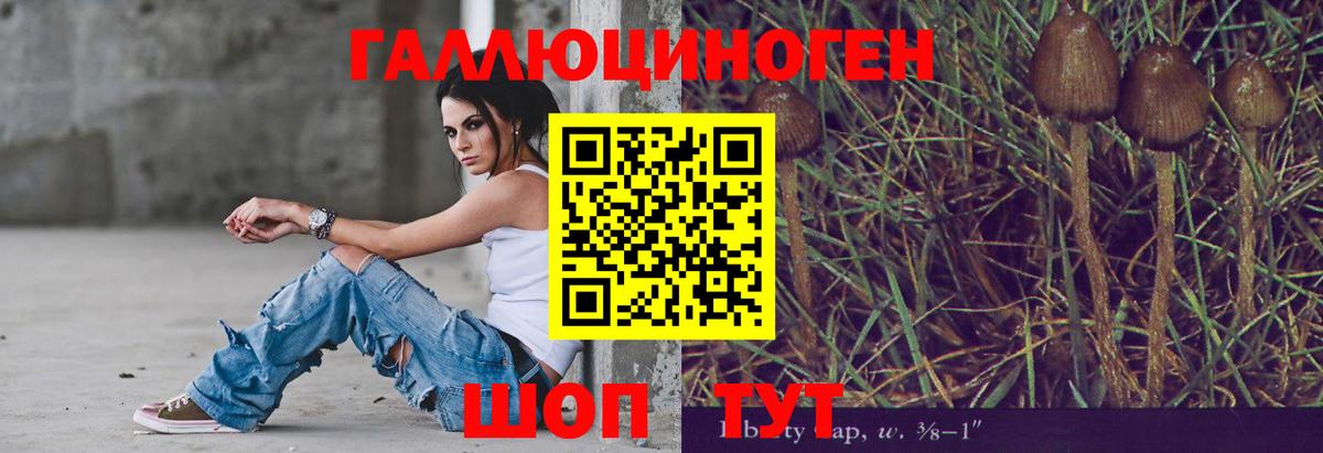 Галлюциногенные грибы Psilocybe  цены   Губкинский  Вход с VPN 