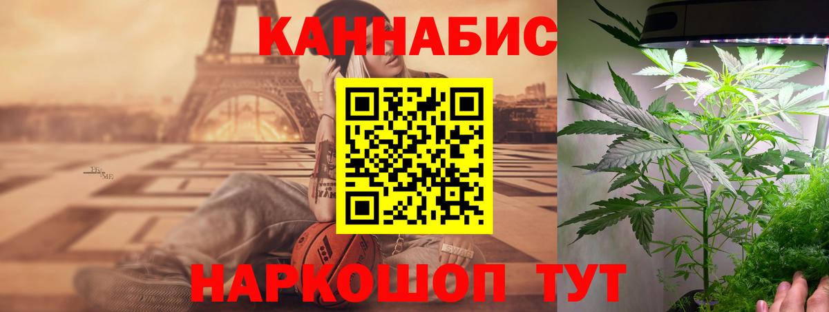 Шишки марихуана гибрид Губкинский